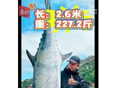 男子钓出227.2斤鱼王引围观 现场画面曝光!