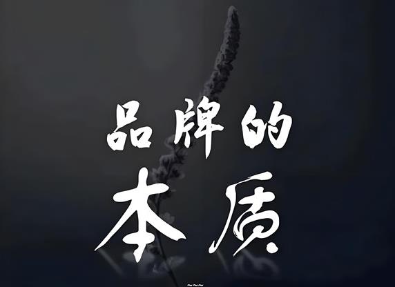 品牌的本质品牌营销与互联网品牌的引导术