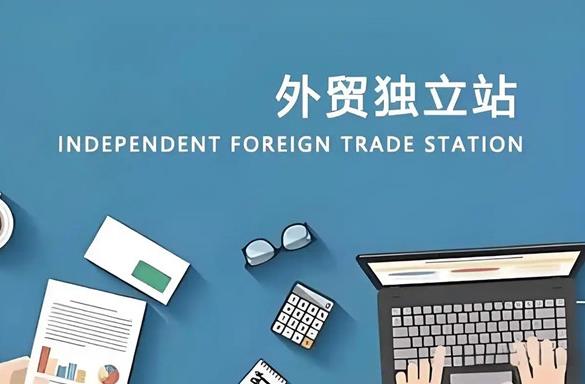 跨境电子商务为什么选择外贸独立站运营？