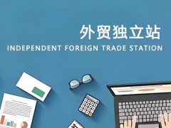 今日分享：跨境电子商务为什么选择外贸独立站运营？