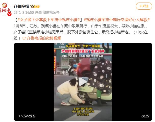 女生脱下外套救起车流中受伤小猫