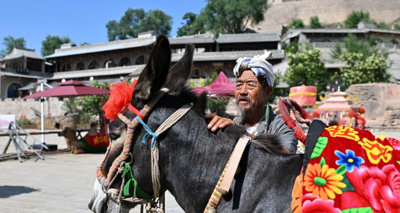 驴1天片酬500元 600年古村全员演技派