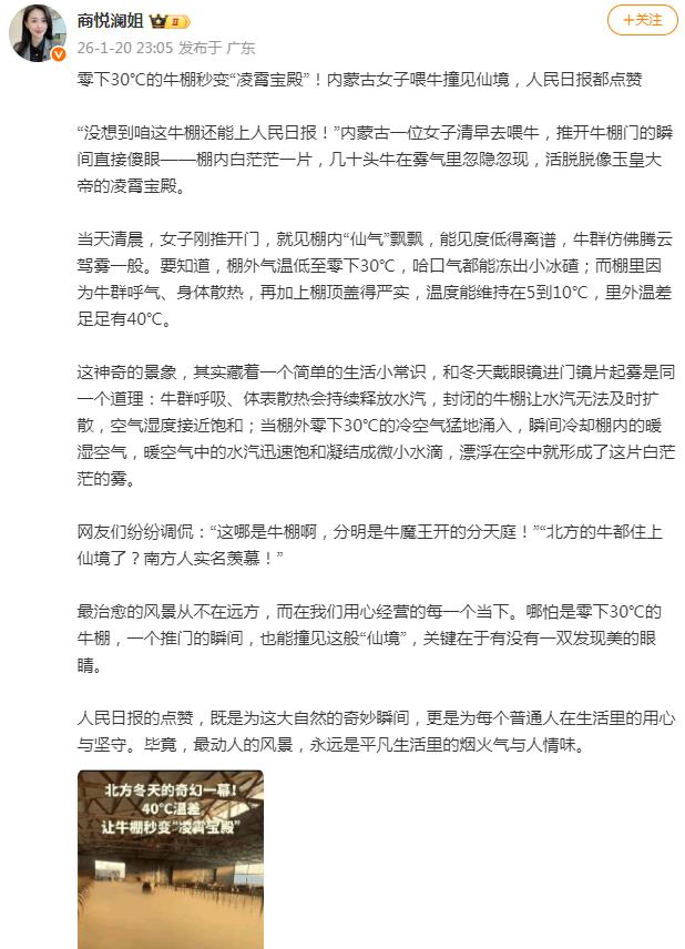 零下30℃ 牛棚一开仿佛&ldquo;凌霄宝殿&rdquo;