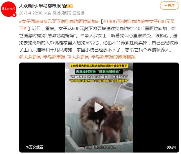 女子600元救下被送往狗肉馆阿拉斯加