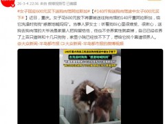 女子600元救下被送往狗肉馆阿拉斯加，跨越生死的600元！（图）