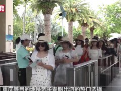 含娃量最高的小长假要来了，引起网友热议！