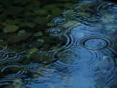 南方将出现暴雨大暴雨 局地累计雨量超200毫米！