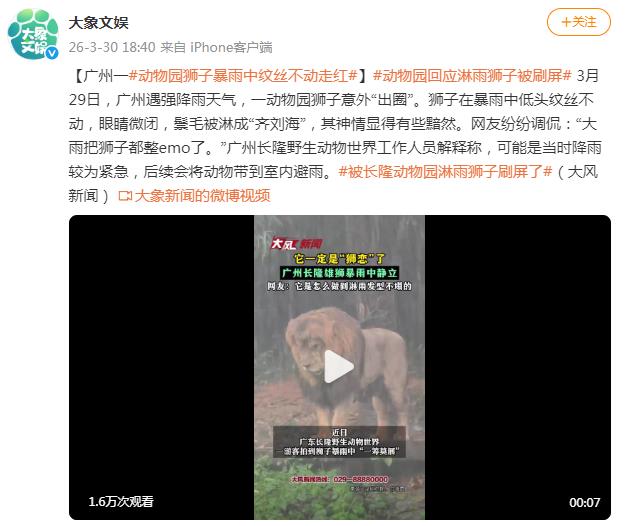 广州下暴雨 动物园&ldquo;落汤狮&rdquo;走红