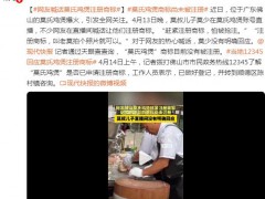 网友喊话莫氏鸡煲注册商标 目前情况如何？