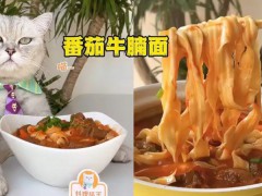 今日分享番茄牛腩面家常美食的做法和配料