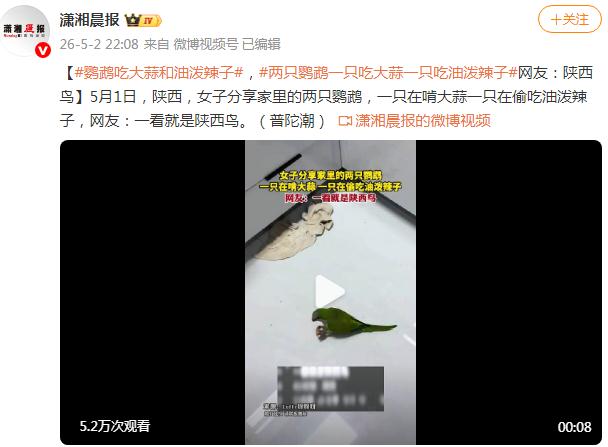 两只鹦鹉一只吃大蒜一只吃油泼辣子